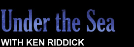 Ken Riddick Under the Sea